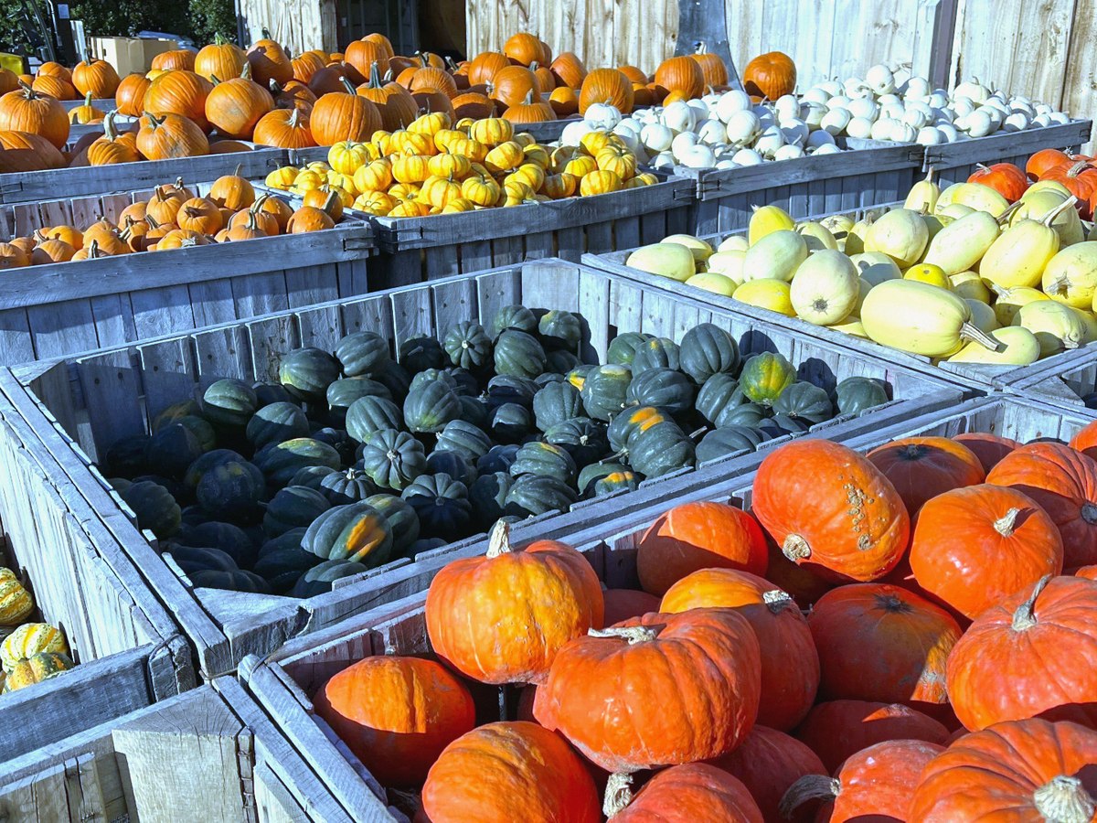 Pumpkins and squash piled in wooden crates at a farm stand